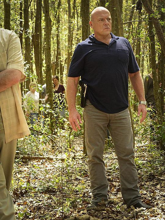 Bajo el domo : Foto Dean Norris