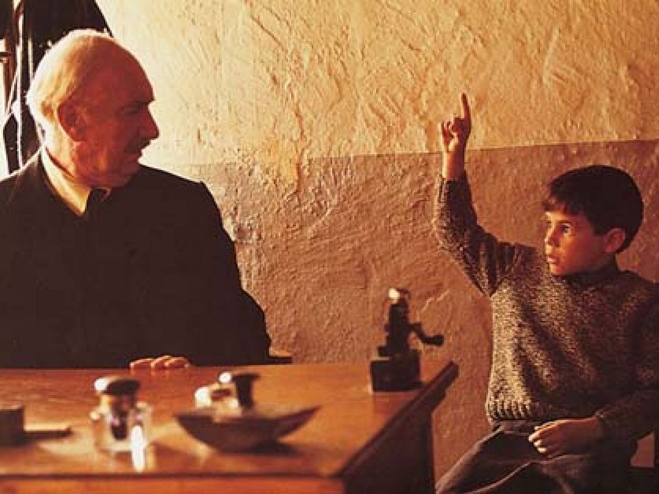 La lengua de las mariposas : Foto