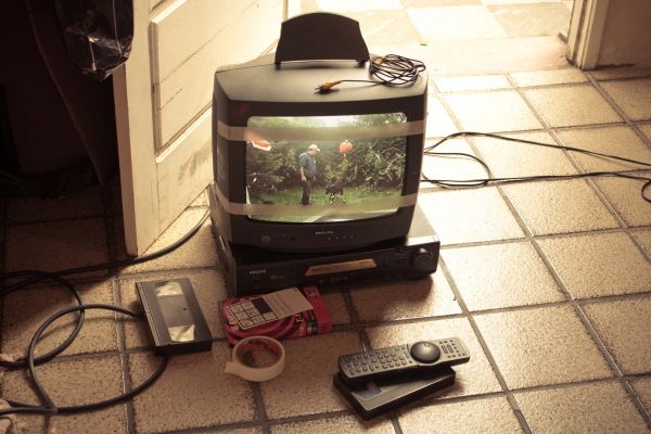 Animal Político : Foto