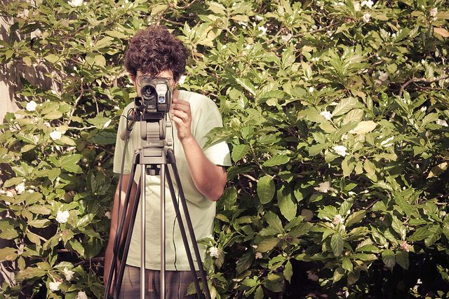 Animal Político : Foto