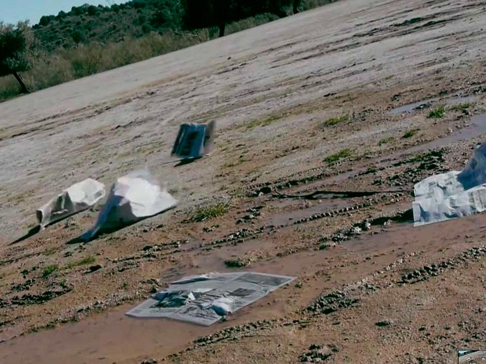 Cuero y tinta : Foto