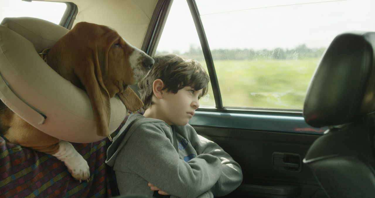 ¿Me amarás cuando despiertes? : Foto