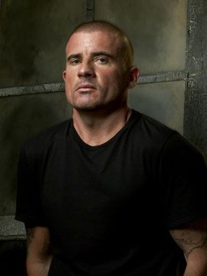 Póster Dominic Purcell