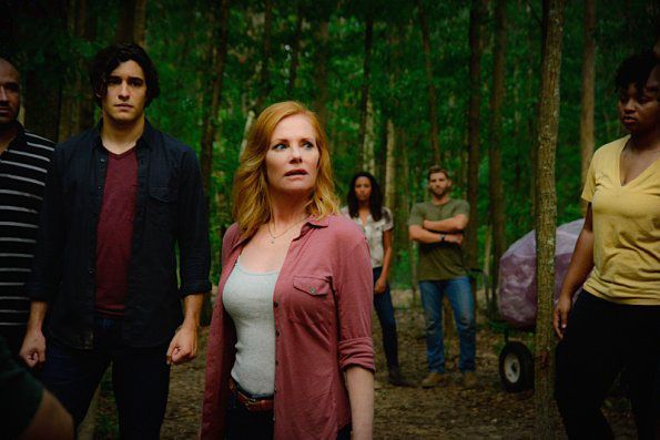 Bajo el domo : Foto Alexander Koch