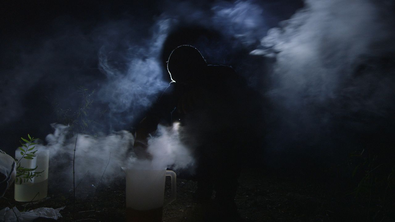 Tierra de Cárteles : Foto