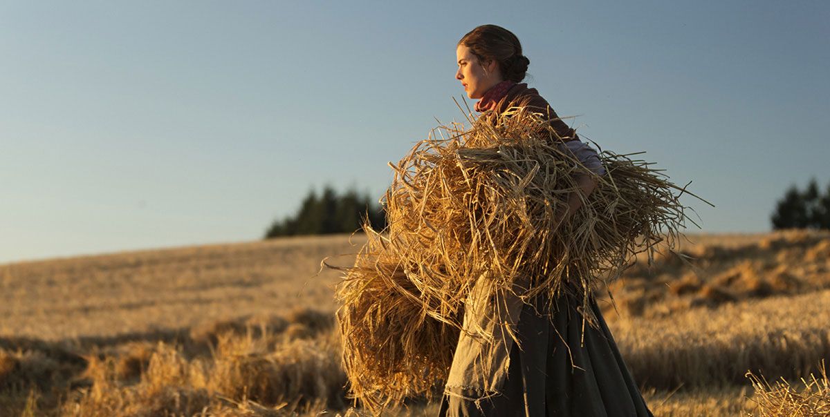 Canción del atardecer : Foto