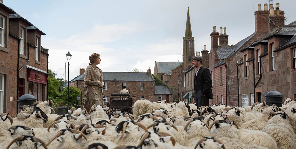 Canción del atardecer : Foto