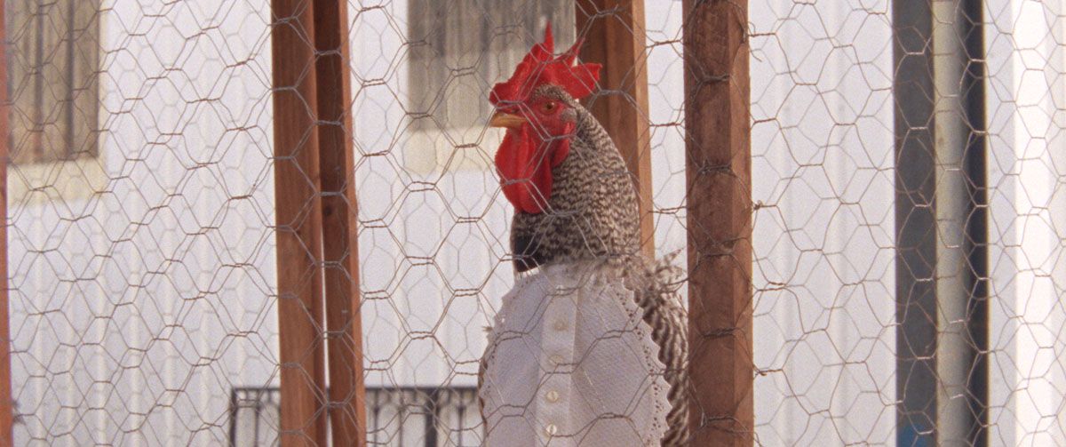 Las mil y una noches: Vol.1, El inquieto : Foto