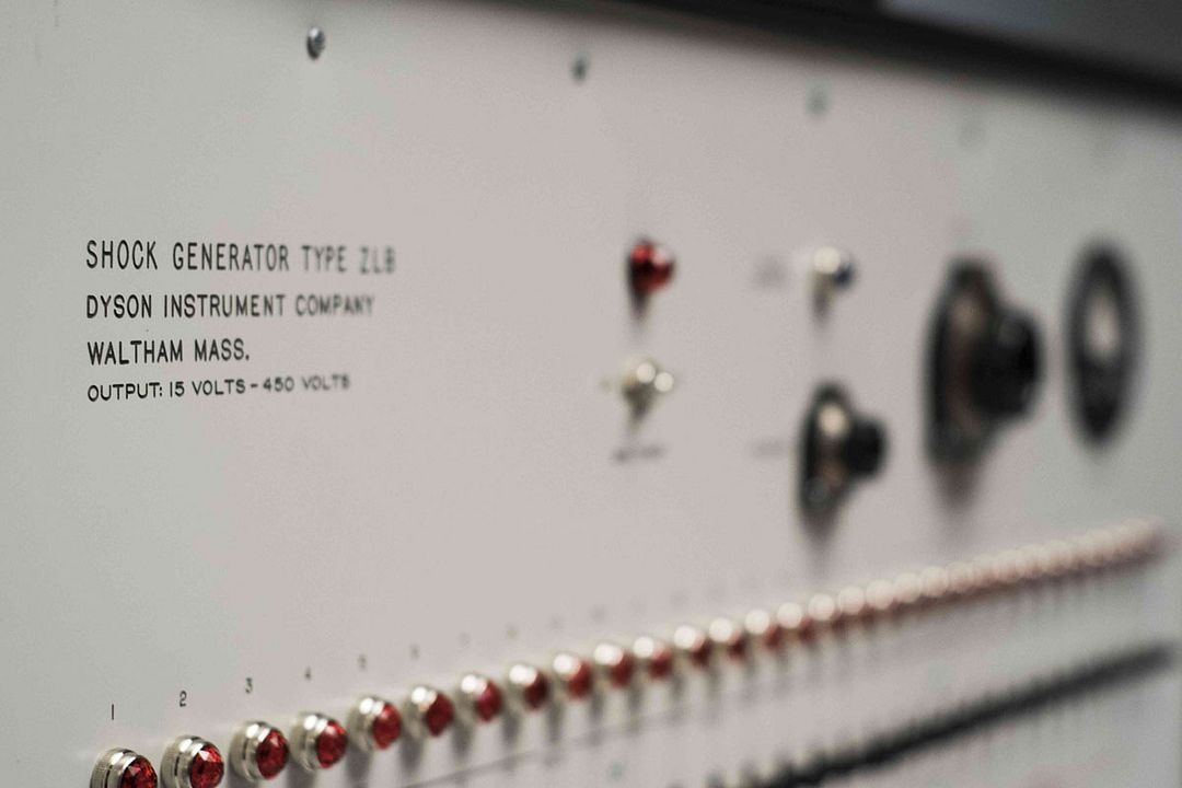Experimenter: La historia de Stanley Milgram : Foto