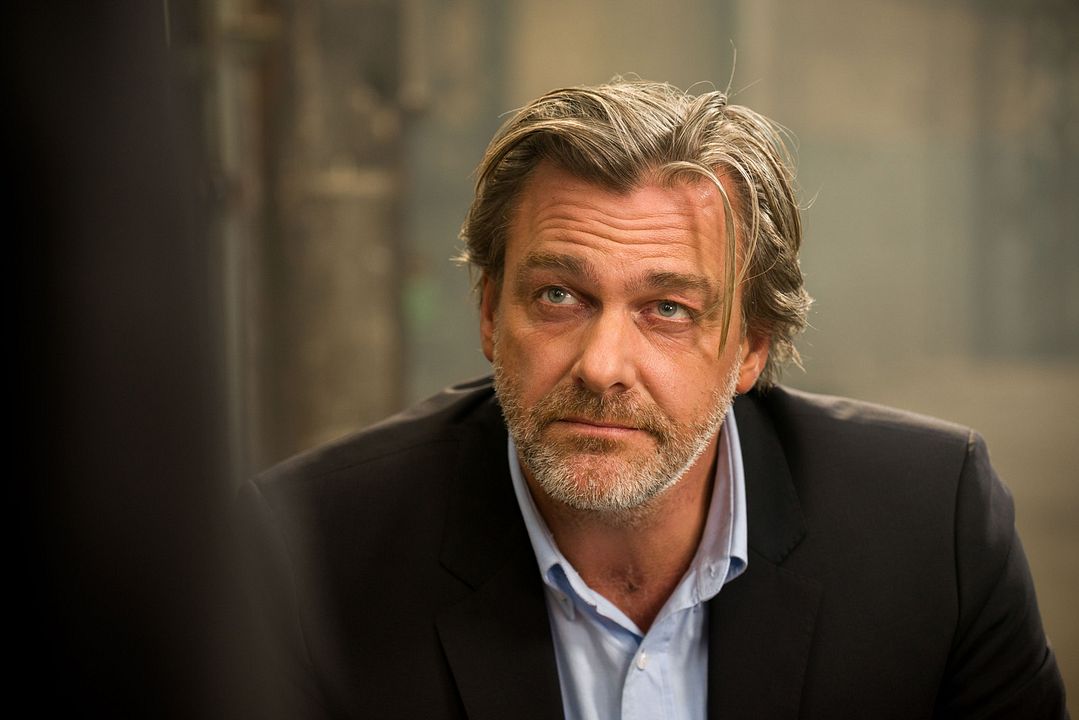 El Transportador recargado : Foto Ray Stevenson