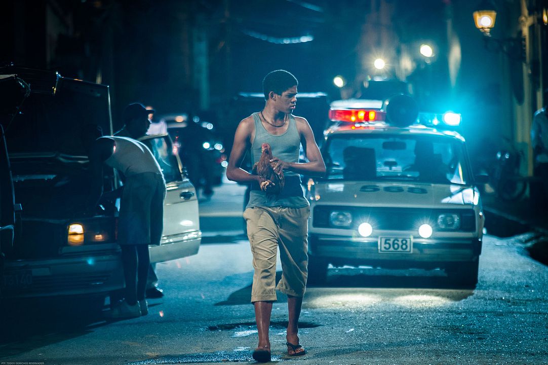 El rey de la Habana : Foto