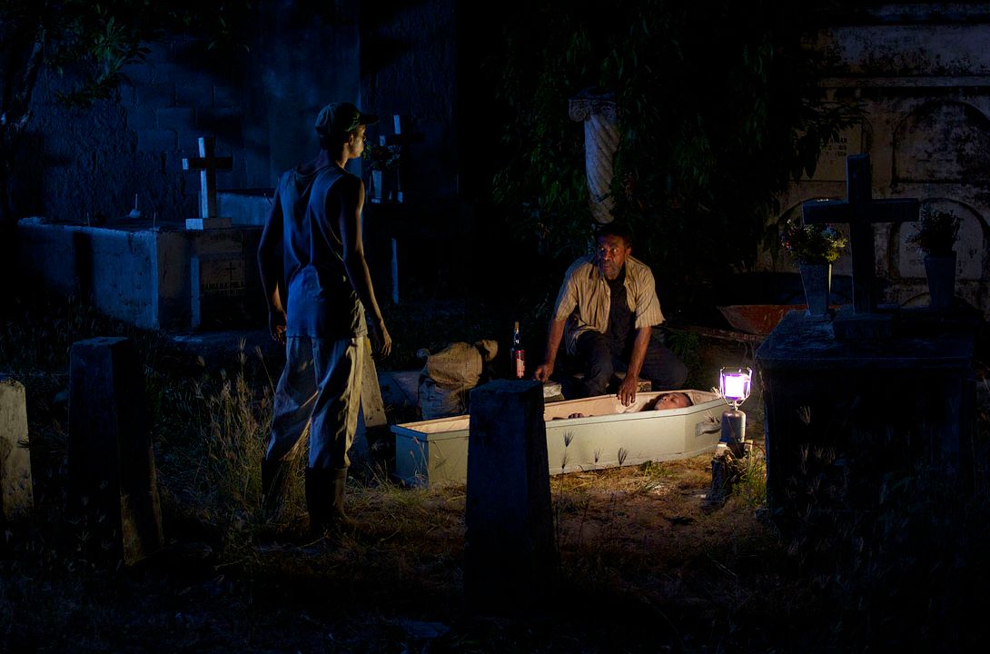 El rey de la Habana : Foto