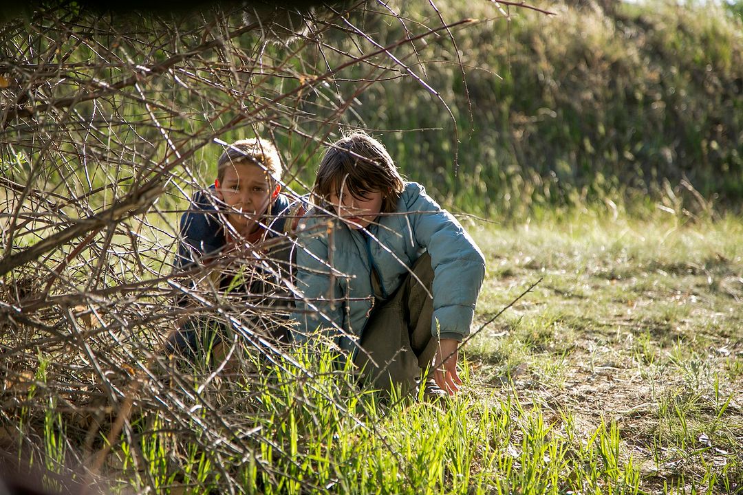 Coche policial : Foto