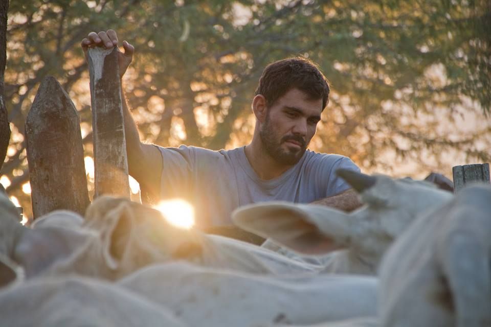 Toro de neón : Foto