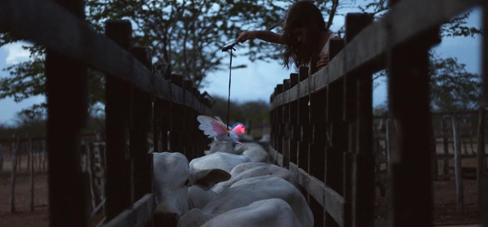 Toro de neón : Foto