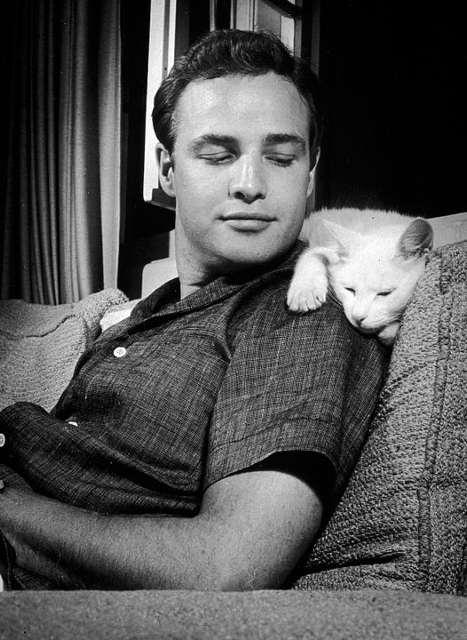 Conversando con Marlon Brando : Foto Marlon Brando