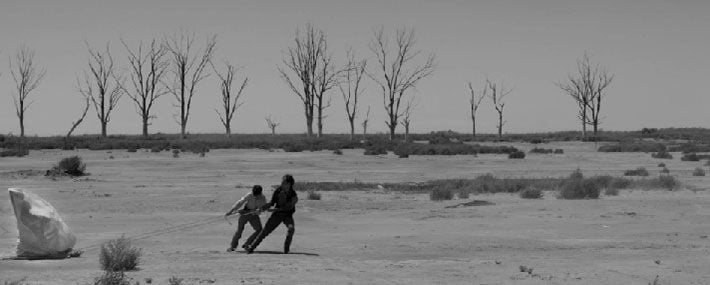 El Movimiento : Foto