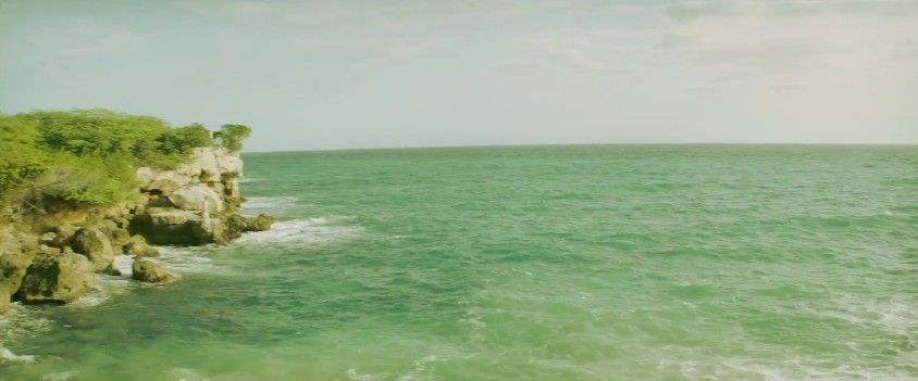 The Reflektor Tapes : Foto