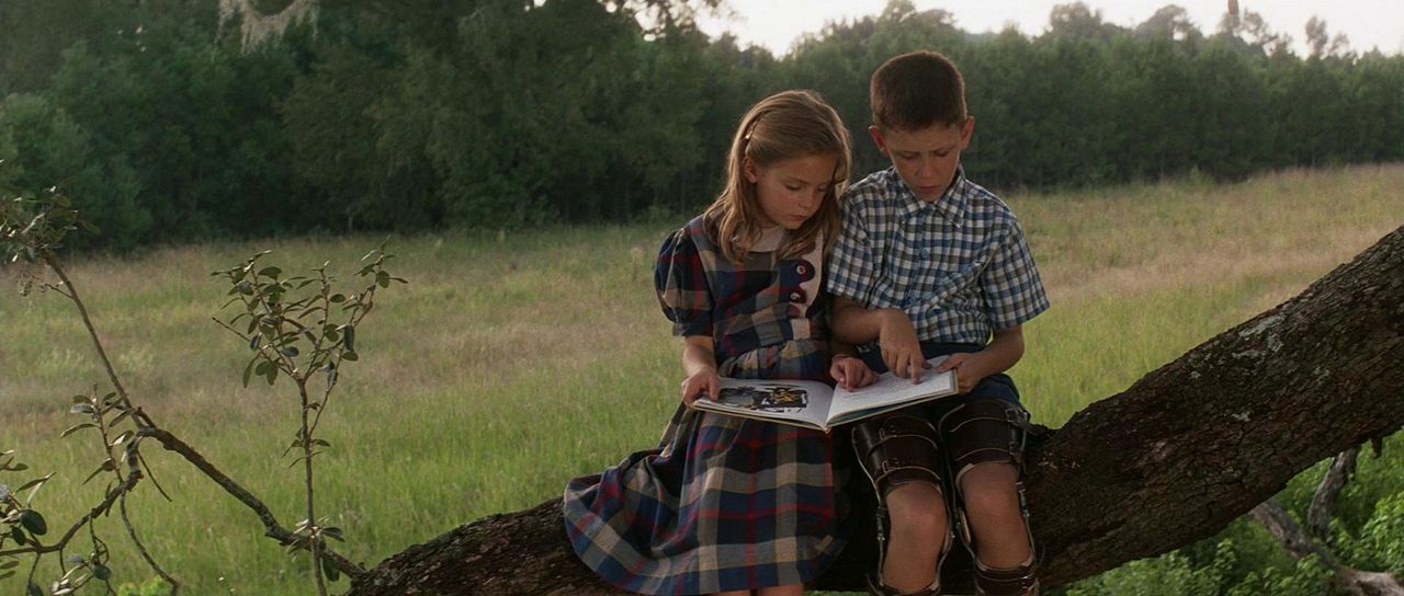Forrest Gump : Foto
