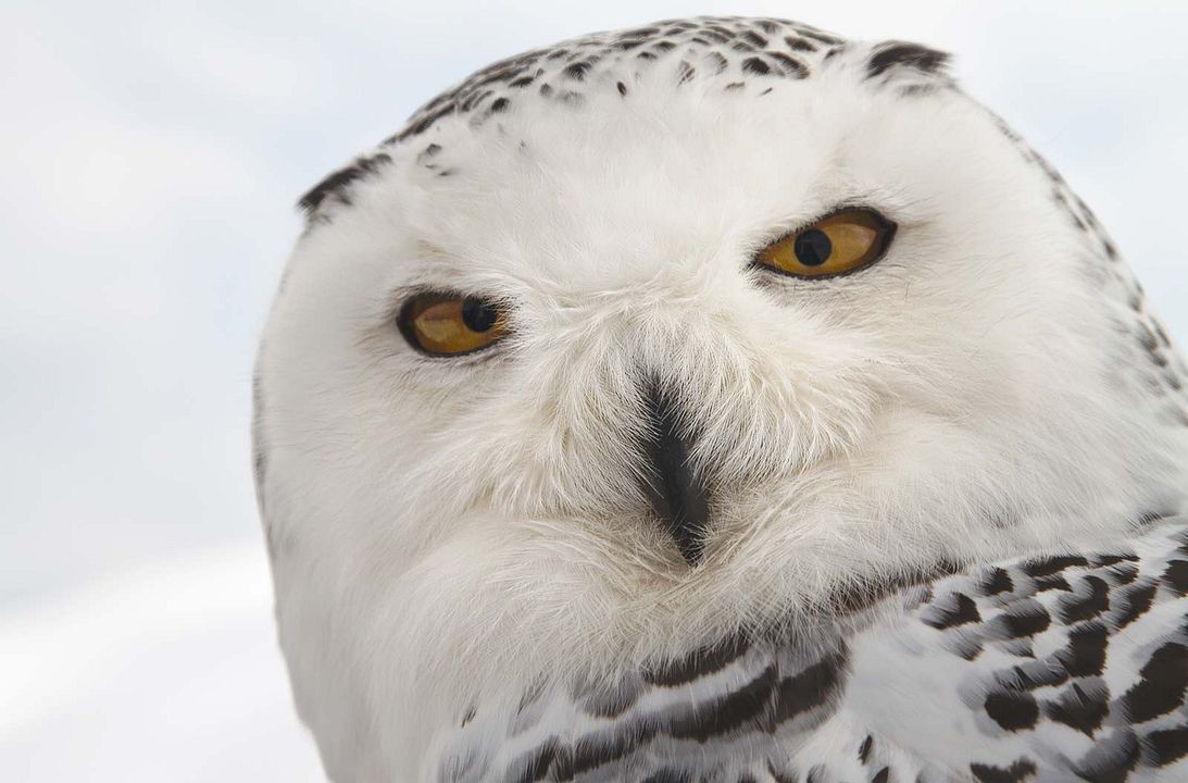 Las estaciones : Foto