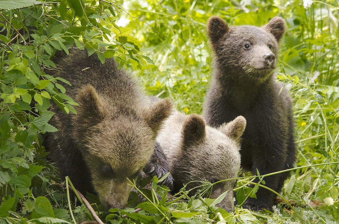 Las estaciones : Foto