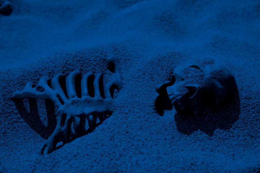 Agentes de S.H.I.E.L.D. : Foto