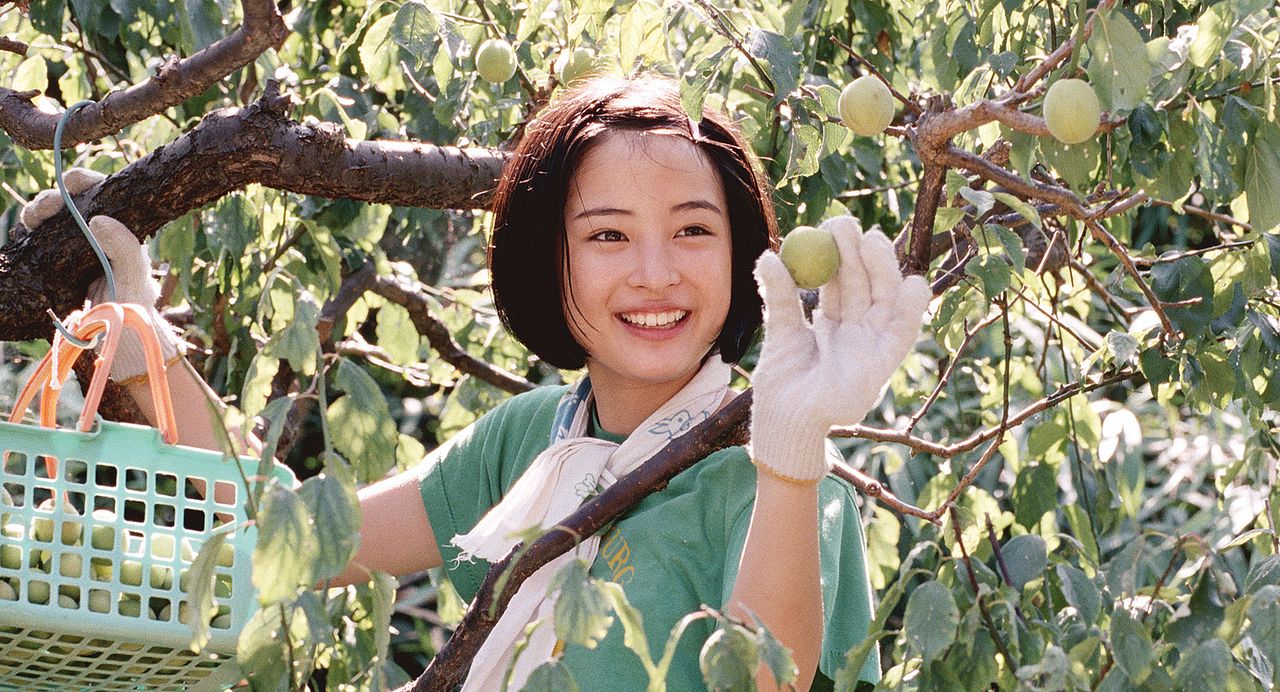 Nuestra hermana pequeña : Foto