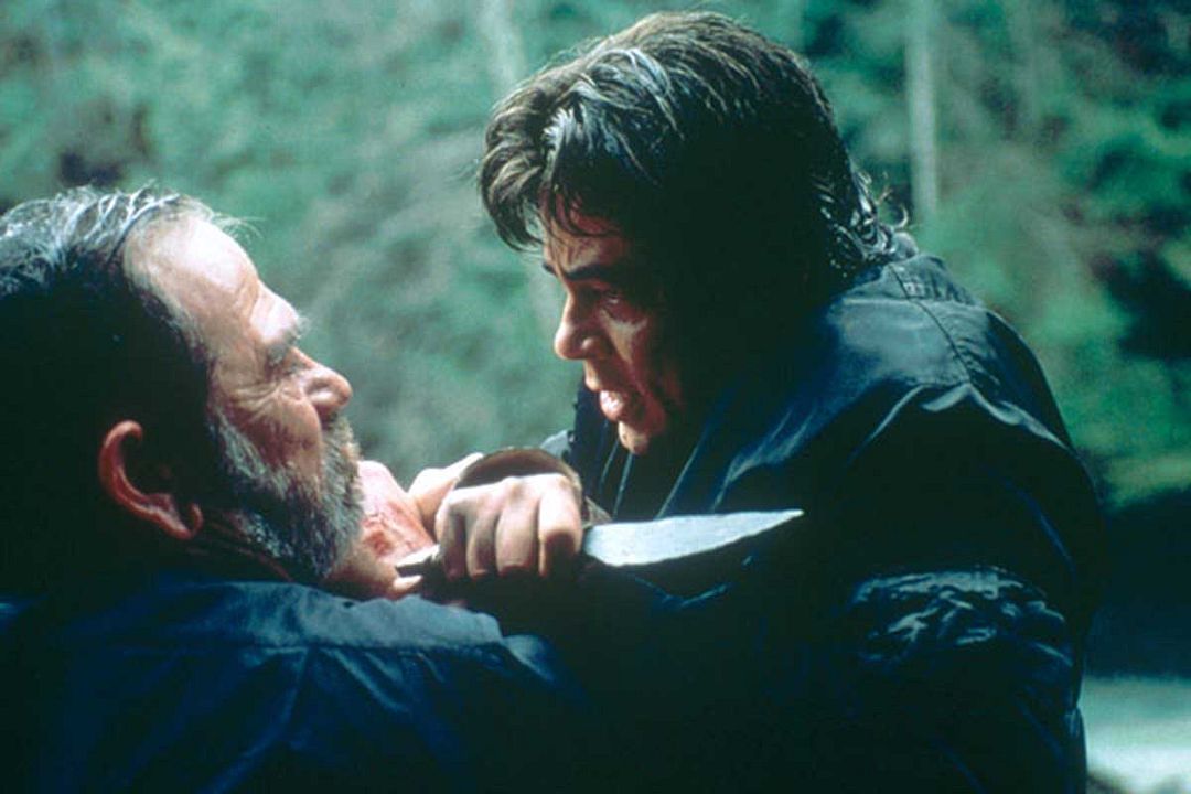 Foto Tommy Lee Jones, Benicio Del Toro