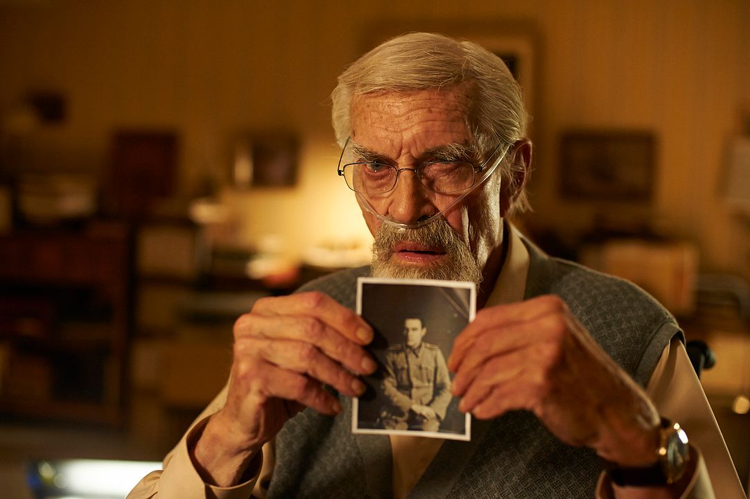 Recuerdos secretos : Foto Martin Landau