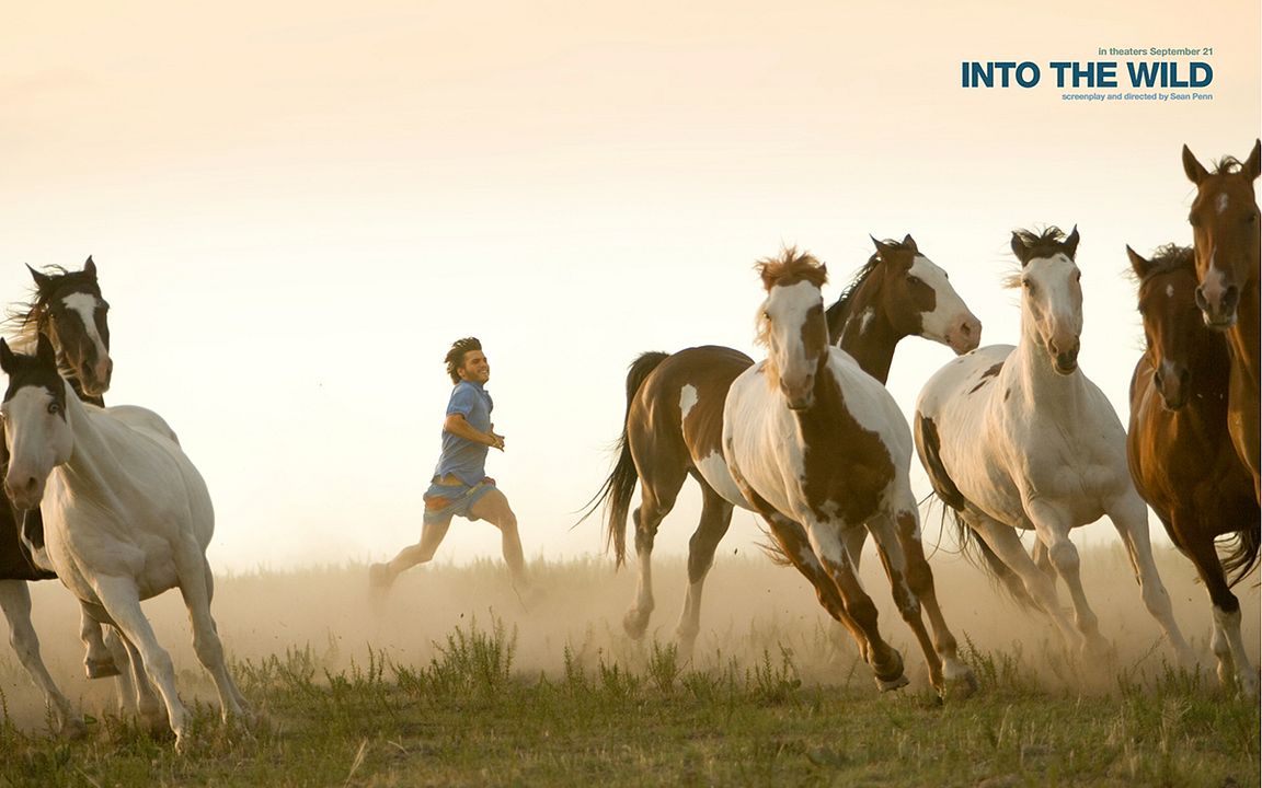 Camino salvaje : Foto Emile Hirsch