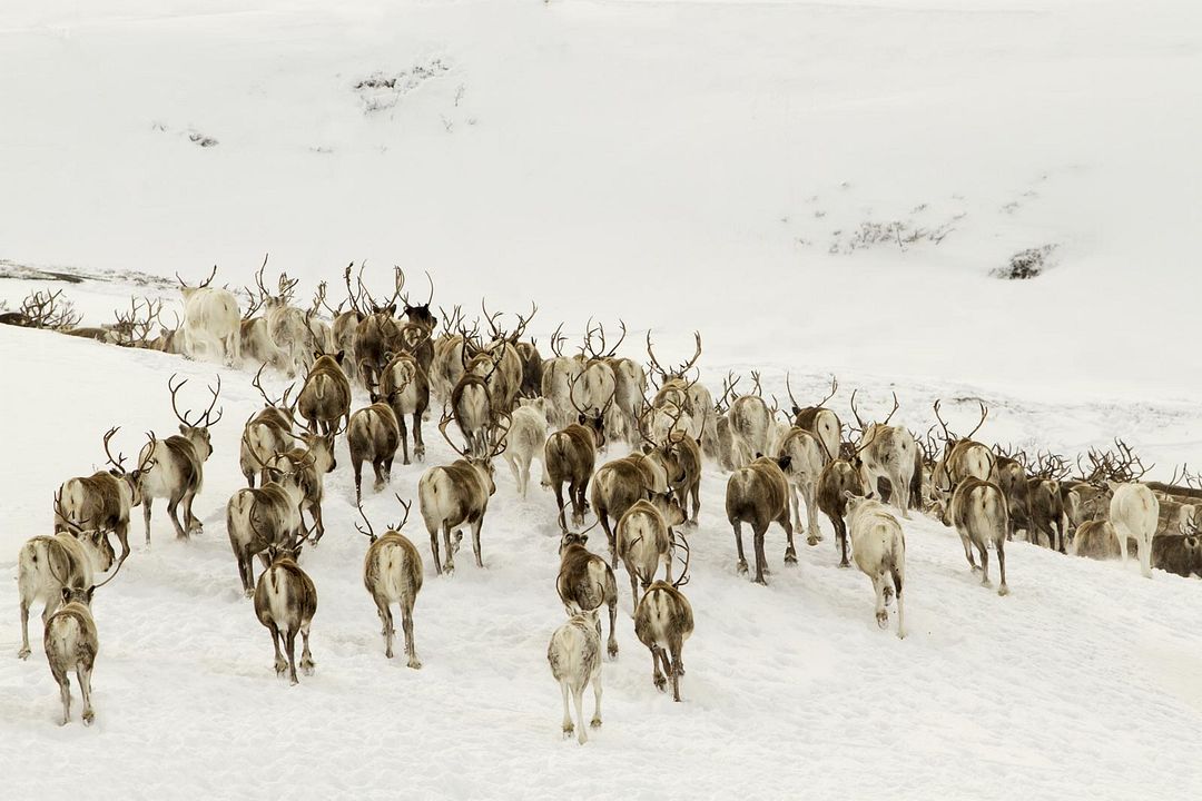 Las estaciones : Foto