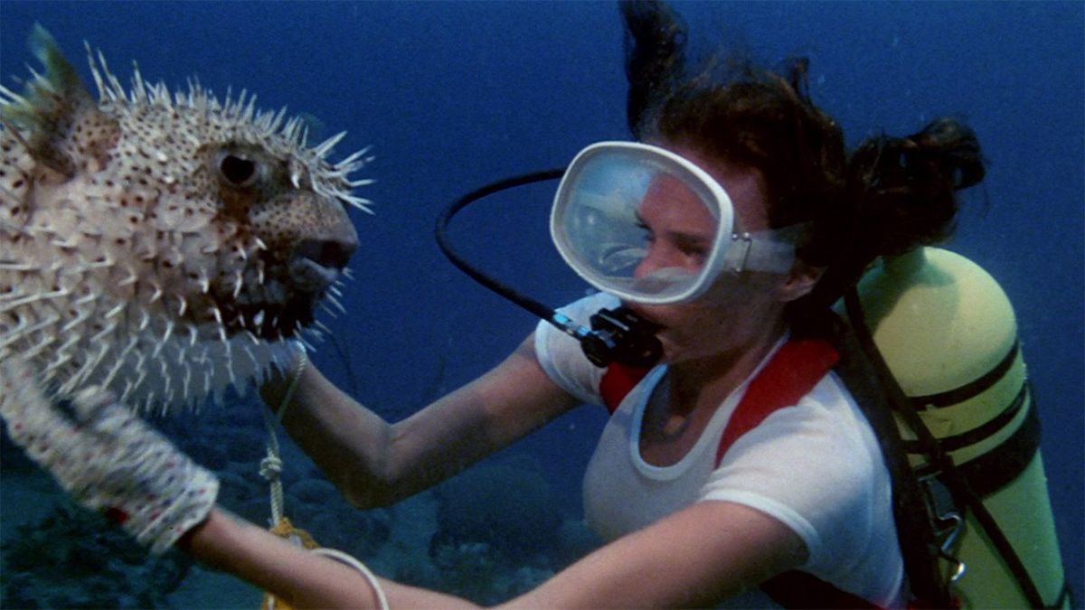 Foto Jacqueline Bisset