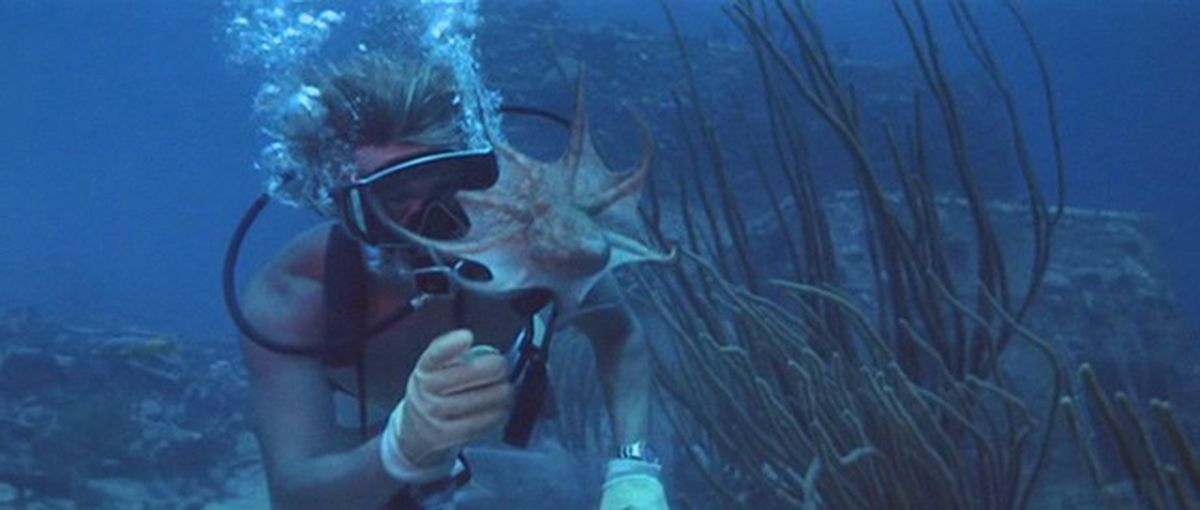 Foto Jacqueline Bisset