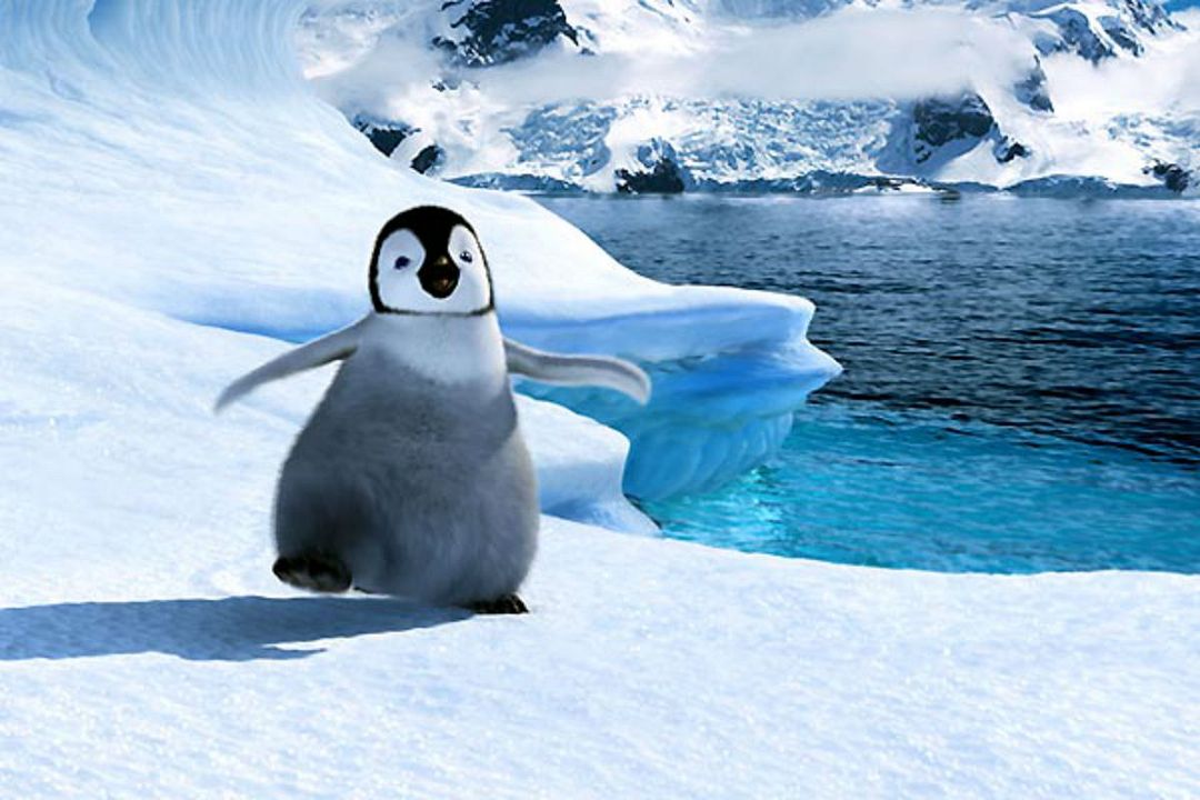 Happy Feet: El pingüino : Foto