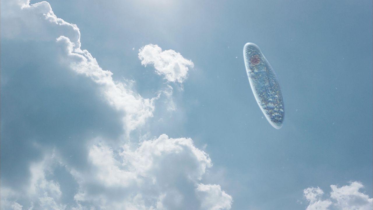 Cementerio de esplendor : Foto