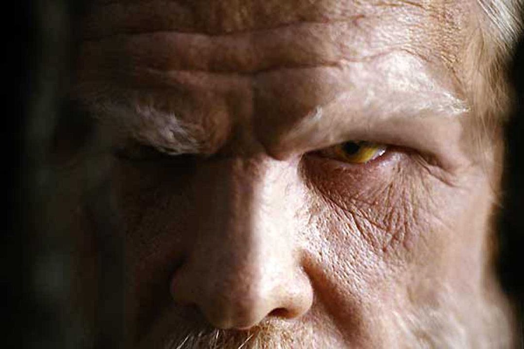 Las crónicas de Spiderwick : Foto Nick Nolte, Mark Waters