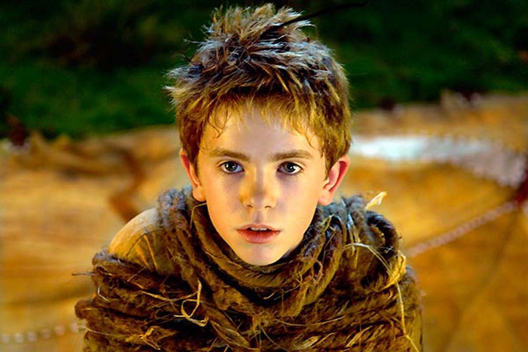 Arthur y la venganza de Maltazard : Foto Freddie Highmore