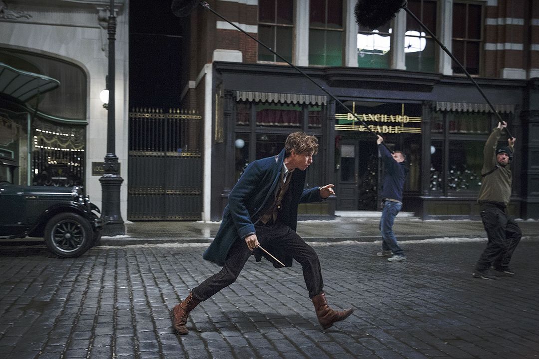 Animales fantásticos y dónde encontrarlos : Foto Eddie Redmayne