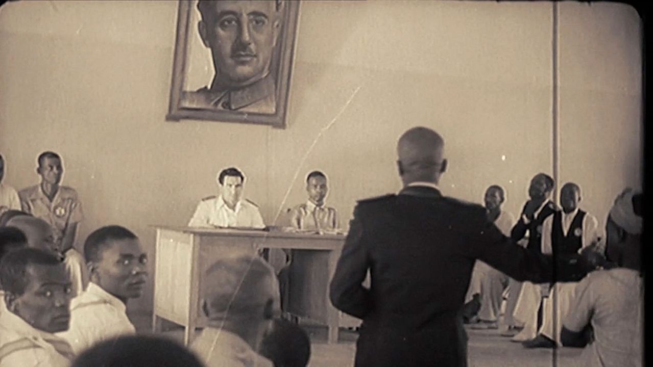 Un día vi 10.000 elefantes : Foto