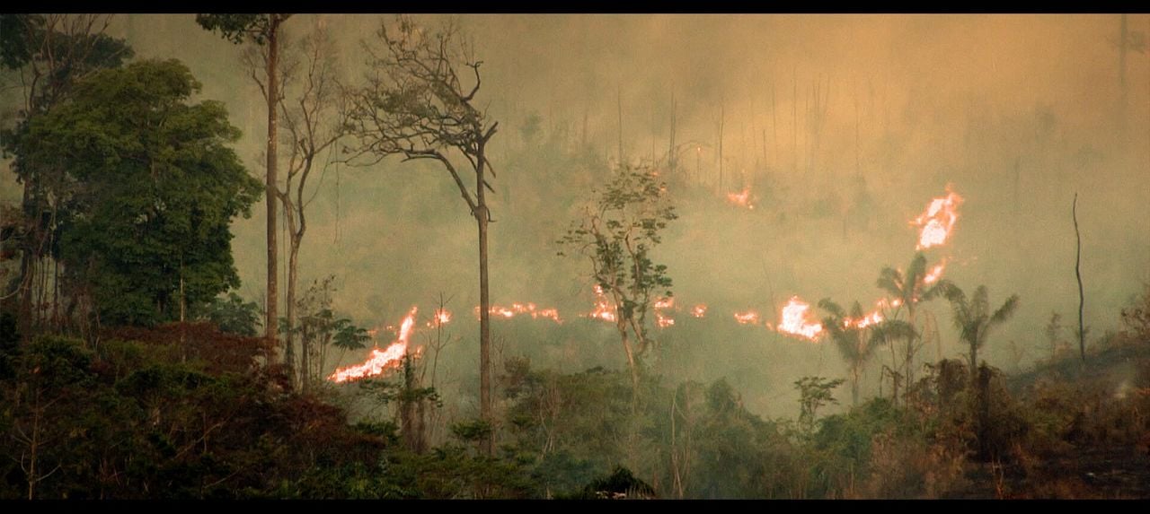 Cowspiracy: The Sustainability Secret : Foto