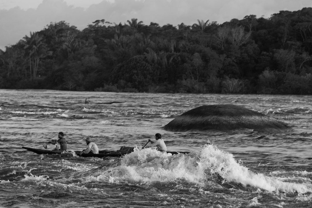 El abrazo de la serpiente : Foto Jan Bijvoet