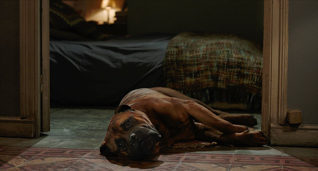 Una sonrisa a la vida : Foto