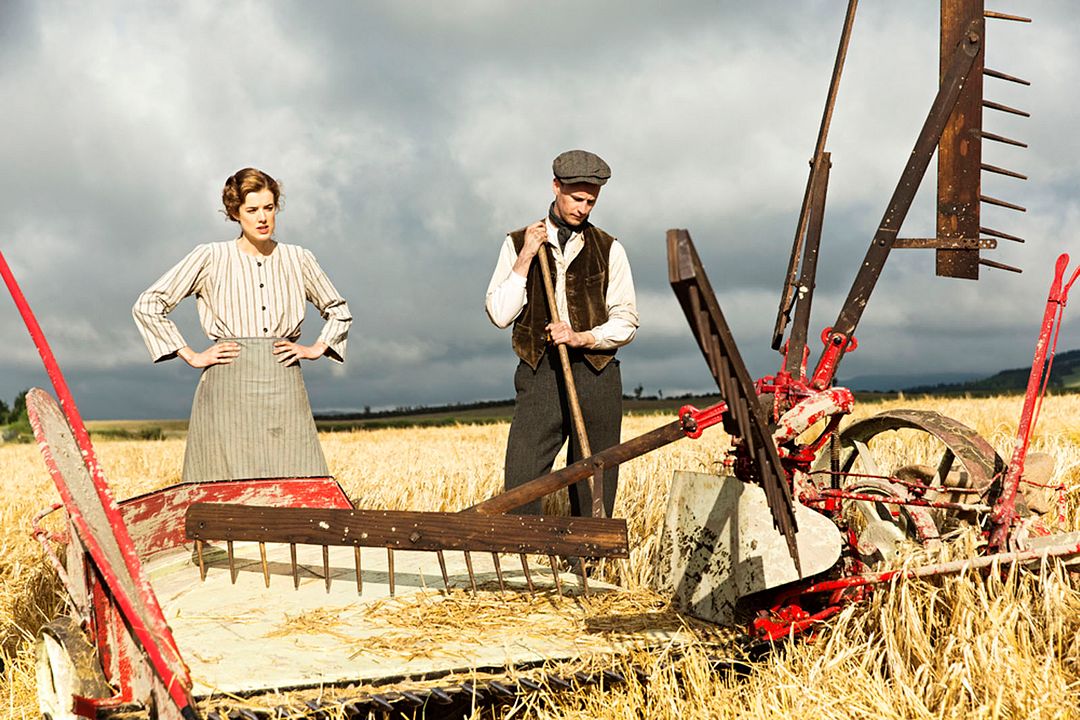 Canción del atardecer : Foto