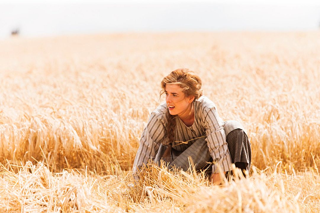 Canción del atardecer : Foto