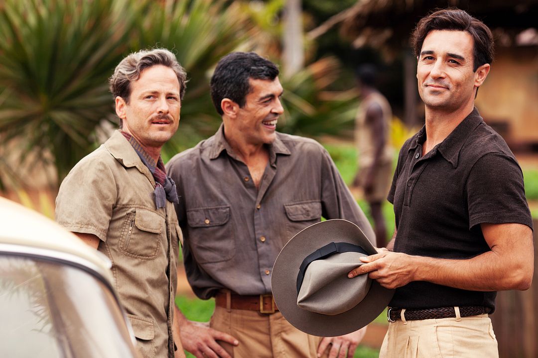 Palmeras en la nieve : Foto Alain Hernández