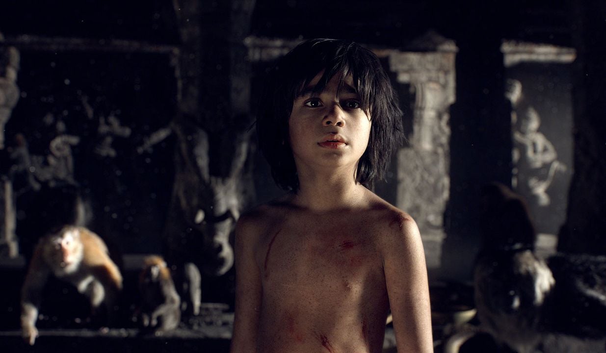 El libro de la selva : Foto