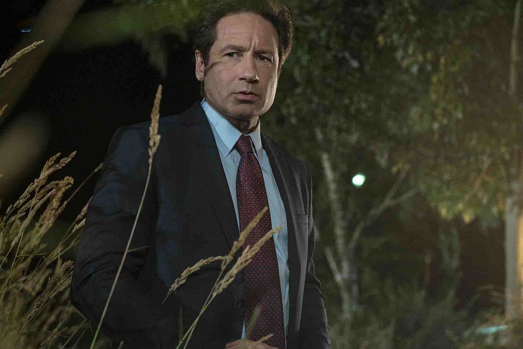 Los expedientes secretos X : Foto David Duchovny