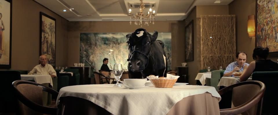 Animal Político : Foto