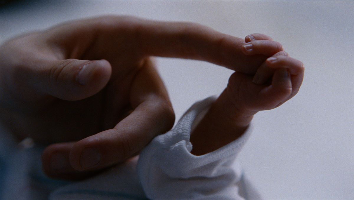 Más fuerte que las bombas : Foto Jesse Eisenberg