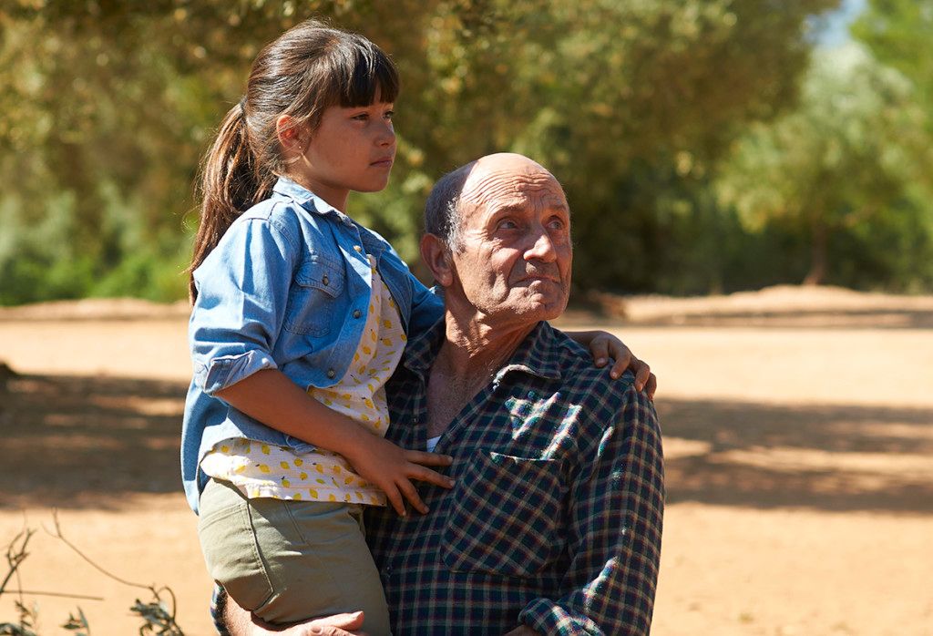 El árbol del abuelo : Foto